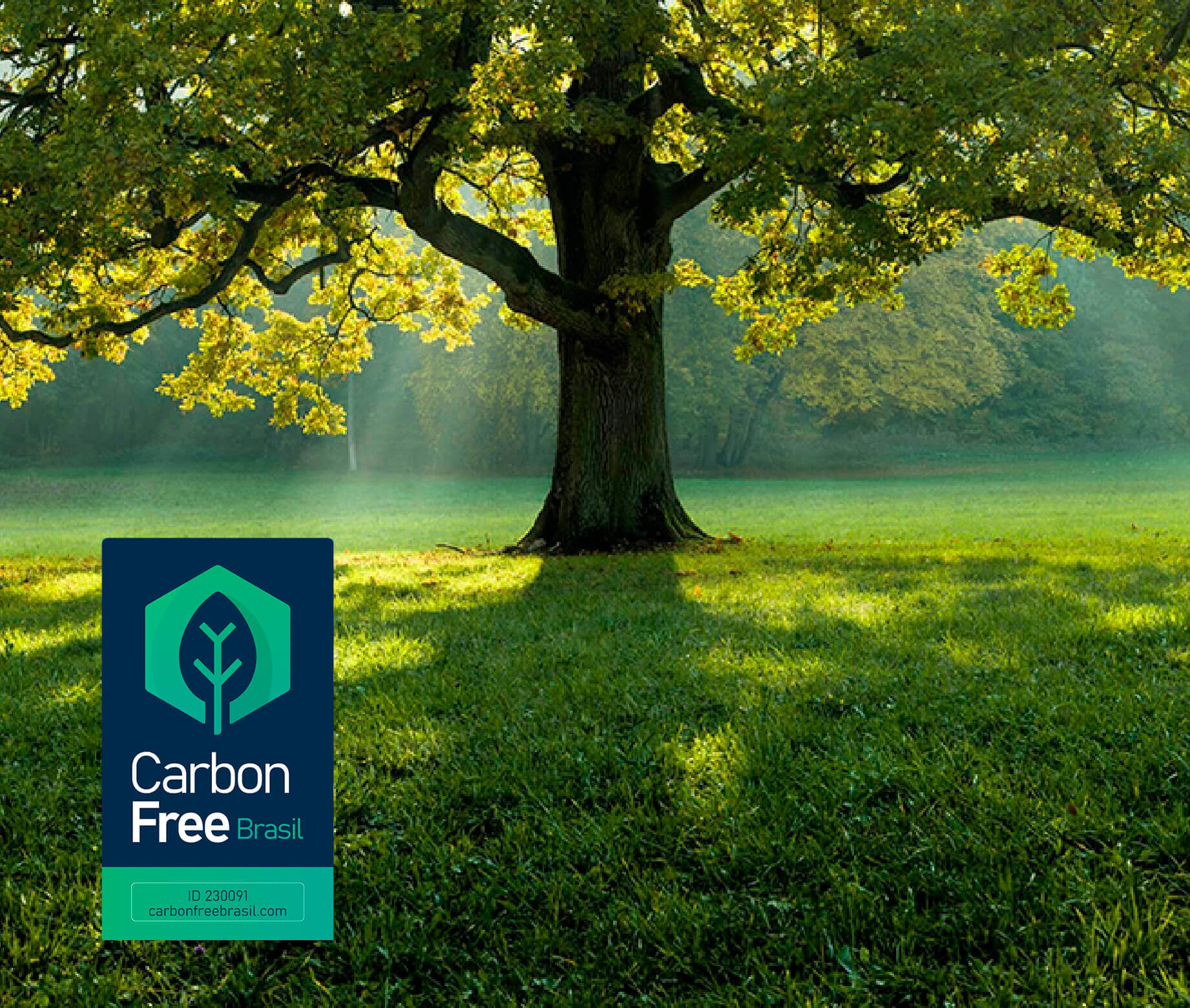 Imagem de uma árvore em meio a um gramado com o selo Carbon Free Brasil