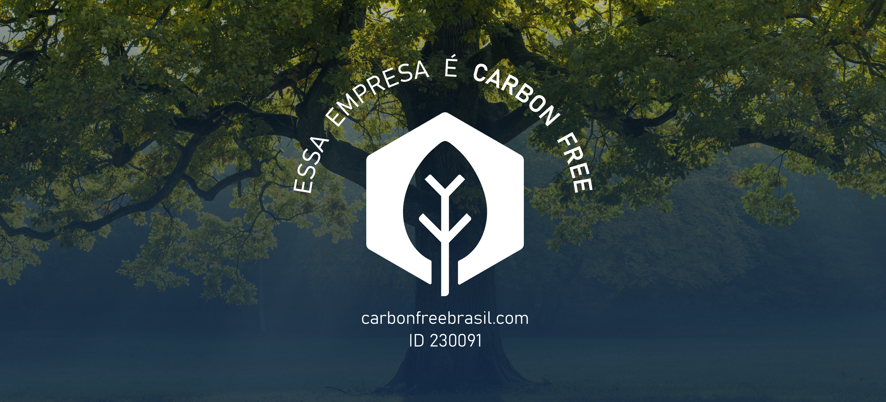 Parceria com a Carbon Free